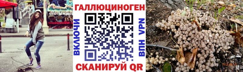 Псилоцибиновые грибы Magic Shrooms  гидра ссылки  Гурьевск 